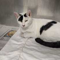 Thumbnail photo of Memaw #2