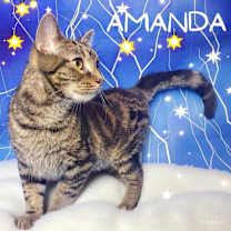 Thumbnail photo of Amanda #1