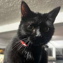 Thumbnail photo of Della #1