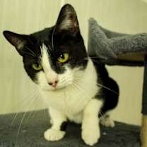 Thumbnail photo of Star #3