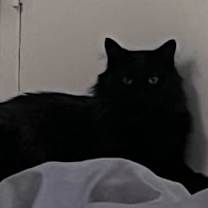 Thumbnail photo of Sidney #2