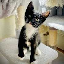 Thumbnail photo of Dot #1