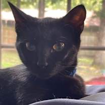 Thumbnail photo of Johann #2