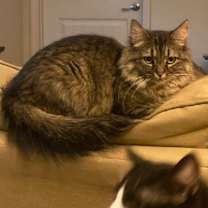 Thumbnail photo of Luna #4