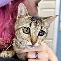 Thumbnail photo of Sundae #2