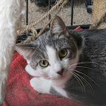 Thumbnail photo of Danny #1