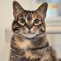 Thumbnail photo of Wally #2