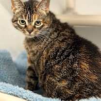 Thumbnail photo of Wally #4