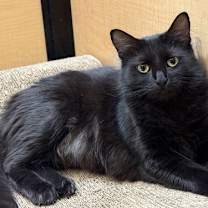 Thumbnail photo of Princess #1