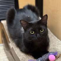 Thumbnail photo of Princess #2