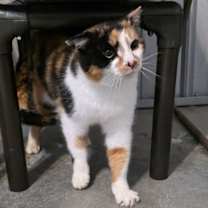 Thumbnail photo of Mary Francis #2