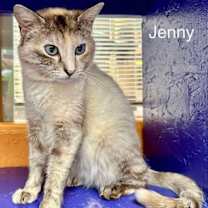 Thumbnail photo of Jenny #2