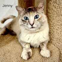 Thumbnail photo of Jenny #3