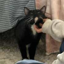 Thumbnail photo of Queen Latifah #1