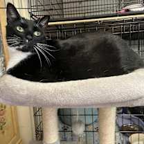 Thumbnail photo of Billy #3