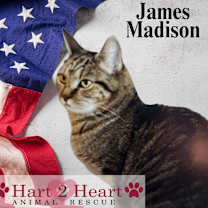 Thumbnail photo of James Madison #1