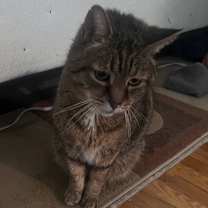 Thumbnail photo of James Madison #2