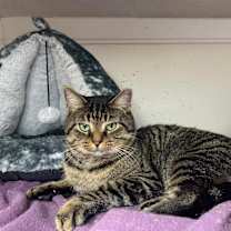 Thumbnail photo of Pierre #3