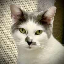 Thumbnail photo of Sammy #2