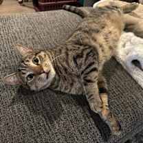 Thumbnail photo of Luna #4