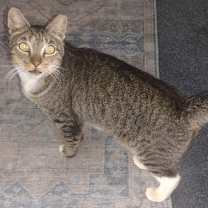 Thumbnail photo of Tubi courtesy post #1