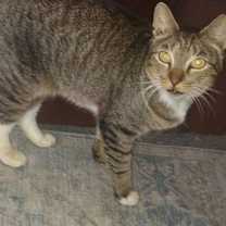 Thumbnail photo of Tubi courtesy post #2