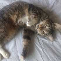 Thumbnail photo of Tubi courtesy post #3