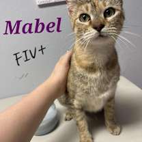 Thumbnail photo of Mable #2