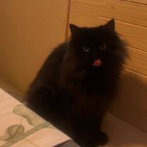 Thumbnail photo of Charlie #2