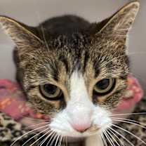 Thumbnail photo of Richie #2