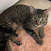 Thumbnail photo of Nerys #1