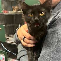 Thumbnail photo of Milly #2