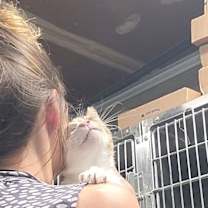 Thumbnail photo of Leo from kuwait #3