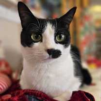 Thumbnail photo of Suki #2