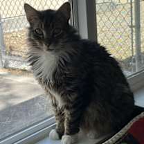 Thumbnail photo of Frank #2