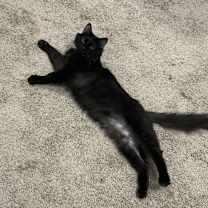 Thumbnail photo of Eleanor #1