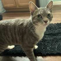 Thumbnail photo of Bubba Boii #4