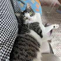 Thumbnail photo of Minnie Hobart #2