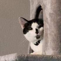 Thumbnail photo of Cairo #4