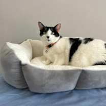 Thumbnail photo of Holly Berry #1