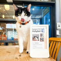 Thumbnail photo of Holly Berry #3