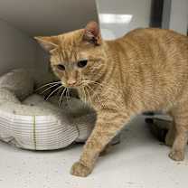 Thumbnail photo of Nellie #3