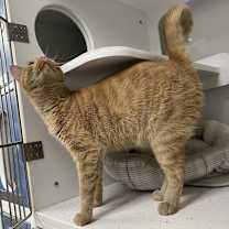 Thumbnail photo of Nellie #4