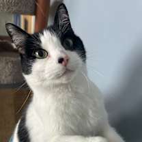 Thumbnail photo of Polar #2