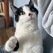 Thumbnail photo of Polar #3