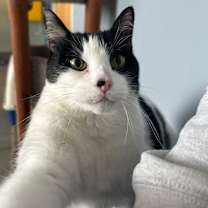 Thumbnail photo of Polar #4