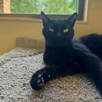 Thumbnail photo of Beans #1