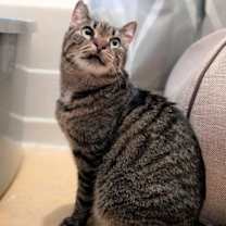 Thumbnail photo of Munie #1