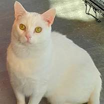 Thumbnail photo of Schnee #3