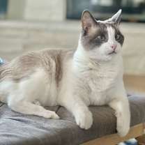 Thumbnail photo of Hubbell #1